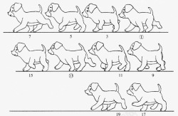 犬科动物的走小狗素材