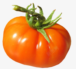 番茄有机新鲜成熟收获素材