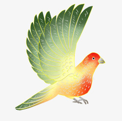 中国风彩色的鹦鹉插画动物设计素材
