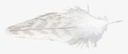 白色羽毛羽绒天使纯洁浪漫飘落漂浮洒落素材