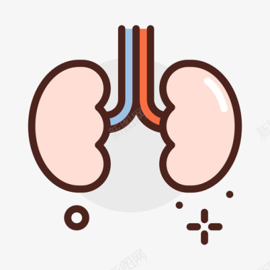 肾脏解剖图肾脏器官21线形颜色图标