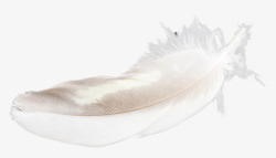 羽毛白色天使纯洁飘落漂浮洒落素材