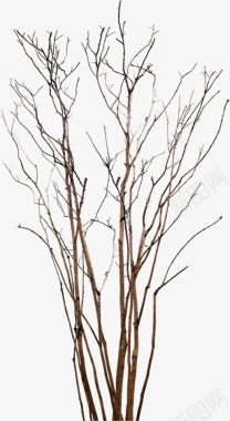 干树枝免扣合辑TreeDesignResource图标