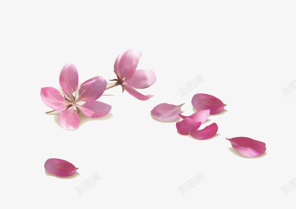 桃花1png免抠素材_88icon https://88icon.com 桃花