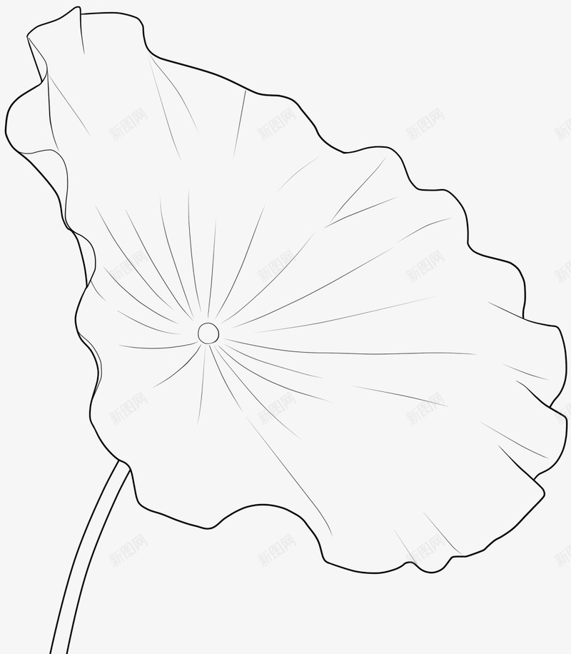 花花线画12png免抠素材_88icon https://88icon.com 花花 线画