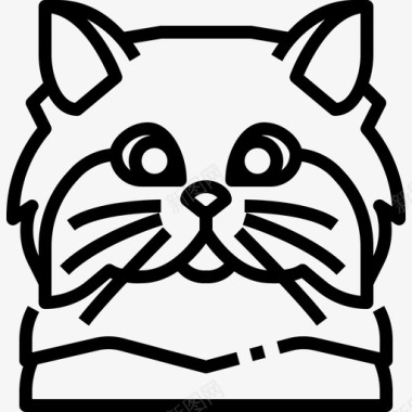 波斯人动物猫图标