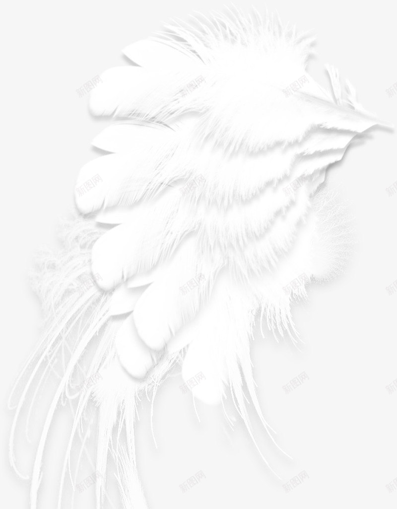 唯美欧式复古纹理鸽子花卉婚礼装饰图案手账8png免抠素材_88icon https://88icon.com 唯美 欧式 复古 纹理 鸽子 花卉 婚礼 装饰 图案 手账