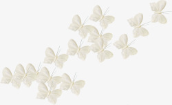 唯美欧式复古纹理鸽子花卉婚礼装饰图案手账123素材