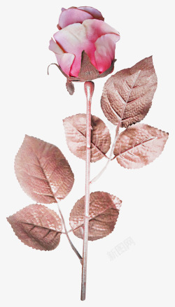 欧式唯美复古浪漫玫瑰花卉装饰免扣图案PS手账影楼3素材