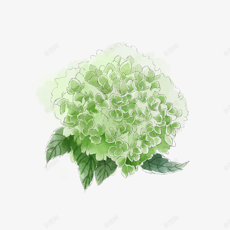 免扣仿真鲜花手绘画水彩画干花水墨小草png免抠素材_88icon https://88icon.com 免扣 仿真 鲜花 手绘 绘画 水彩画 干花 水墨 小草