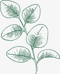 唯美森系树叶手绘绿色植物水彩线稿边框海报AI矢量素材