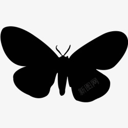 各类动物昆虫黑白剪影AI矢量图案图标合集435素材