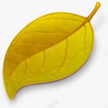 黄色叶子图标图标