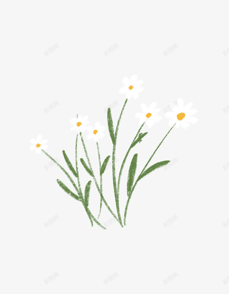 手绘小清新雏菊png免抠素材_88icon https://88icon.com 手绘 清新 雏菊