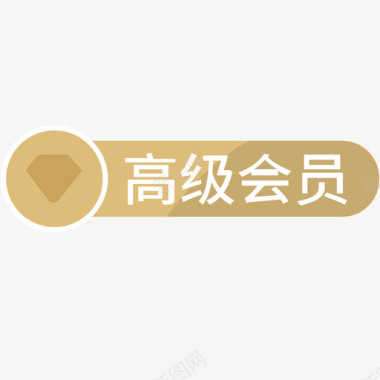 高级钢笔高级会员1图标