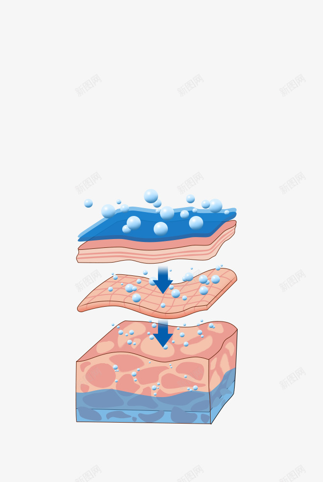 皮肤肌肤构造分子png免抠素材_88icon https://88icon.com 皮肤 肌肤 构造 分子