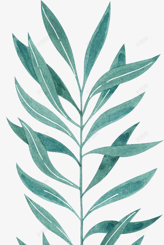 唯美森系树叶手绘绿色植物水彩线稿边框海报AI矢量png免抠素材_88icon https://88icon.com 唯美 森系 树叶 手绘 绿色植物 水彩 线稿 边框 海报 矢量