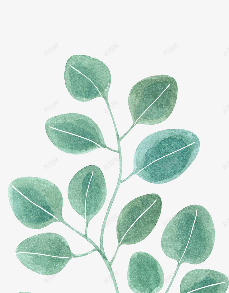 唯美森系树叶手绘绿色植物水彩线稿边框海报AI矢量png免抠素材_88icon https://88icon.com 唯美 森系 树叶 手绘 绿色植物 水彩 线稿 边框 海报 矢量