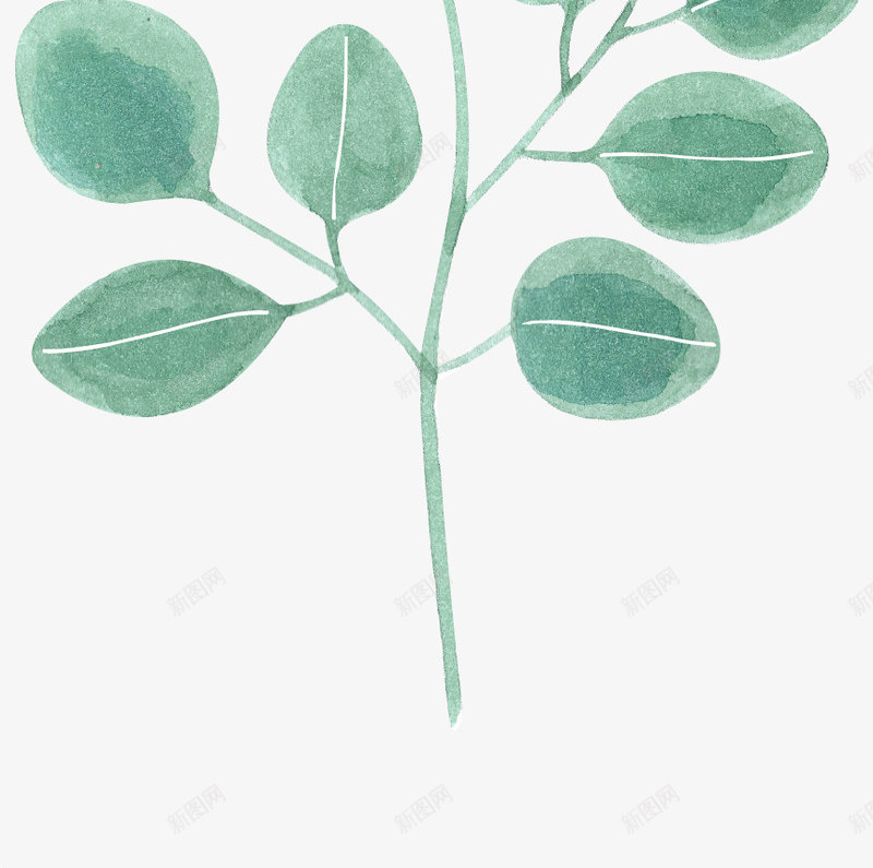 唯美森系树叶手绘绿色植物水彩线稿边框海报AI矢量png免抠素材_88icon https://88icon.com 唯美 森系 树叶 手绘 绿色植物 水彩 线稿 边框 海报 矢量