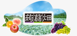 株式会社Web新商品蒟蒻畑蒟蒻畑多彩商品CM得情报素材