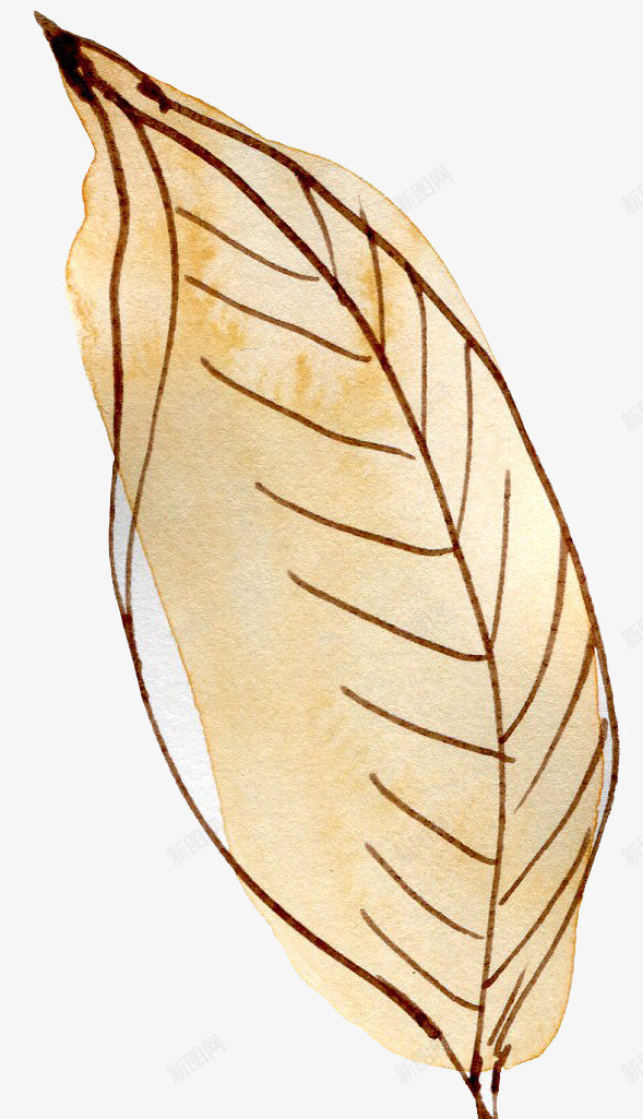 水墨水彩花卉17png免抠素材_88icon https://88icon.com 水墨 水彩 花卉