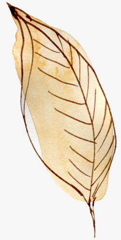 水墨水彩花卉17素材