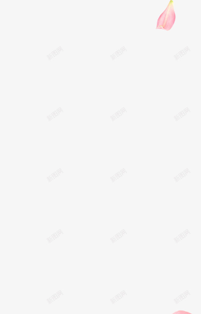 透明绿色水果鲜花植物干净栀子花树叶绿叶叶子芦荟健康png免抠素材_88icon https://88icon.com 透明 绿色 水果 鲜花 植物 干净 栀子 树叶 绿叶 叶子 芦荟