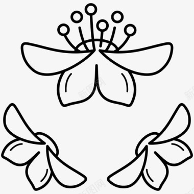 花蝴蝶装饰图标