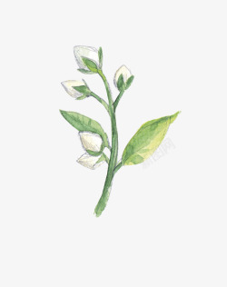 唯美清新森林系手绘花卉婚礼请柬卡片PSD免扣设计素材