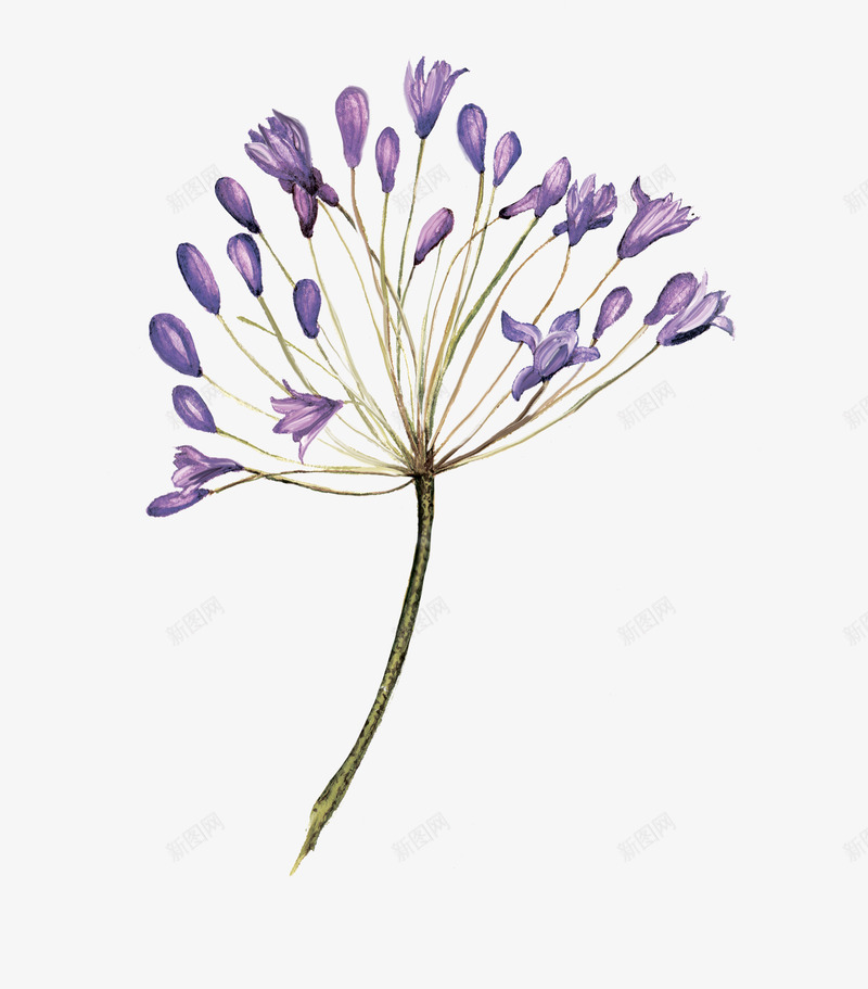 水彩手绘植物叶子绿色春夏海报免扣PSAI平面设计png免抠素材_88icon https://88icon.com 水彩 手绘 植物 叶子 绿色 春夏 海报 免扣 平面设计