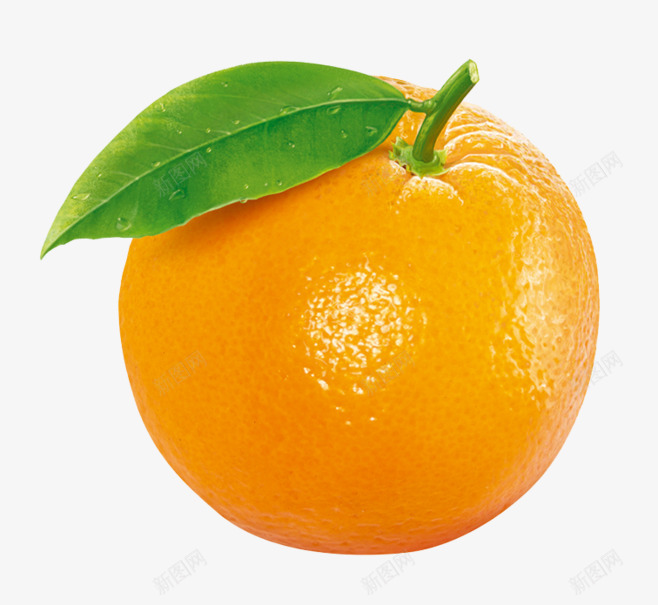 橙子橘子桔子png免抠素材_88icon https://88icon.com 橙子 橘子 桔子