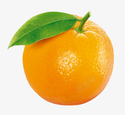 橙子橘子桔子素材