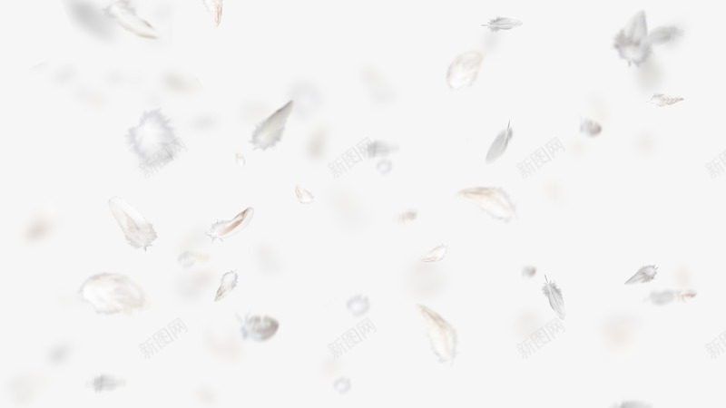 白色羽毛鸟羽毛掉落散落羽毛轻盈飘落飞舞png免抠素材_88icon https://88icon.com  白色 羽毛  天鹅毛  鸟羽毛  掉落  散落  羽毛  轻盈  飘落  飞舞