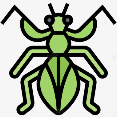 保护色螳螂螳螂昆虫9线形颜色图标