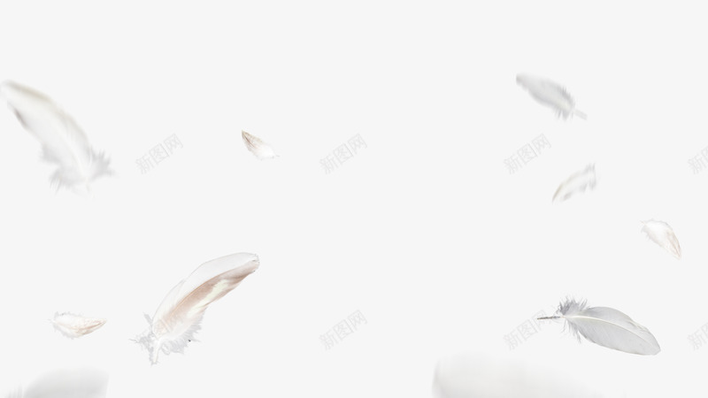白色羽毛鸟羽毛掉落散落羽毛轻盈飘落飞舞png免抠素材_88icon https://88icon.com  白色 羽毛  天鹅毛  鸟羽毛  掉落  散落  羽毛  轻盈  飘落  飞舞