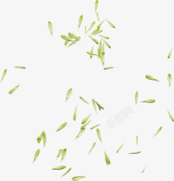 浅绿色小叶子漂浮图素材