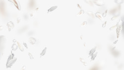 白色羽毛鸟羽毛掉落散落羽毛轻盈飘落飞舞素材