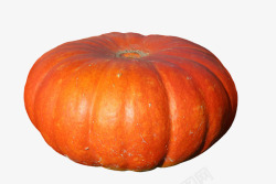 南瓜水果橙秋季笋瓜选择大巨大的食品蔬菜食用吃装饰秋素材