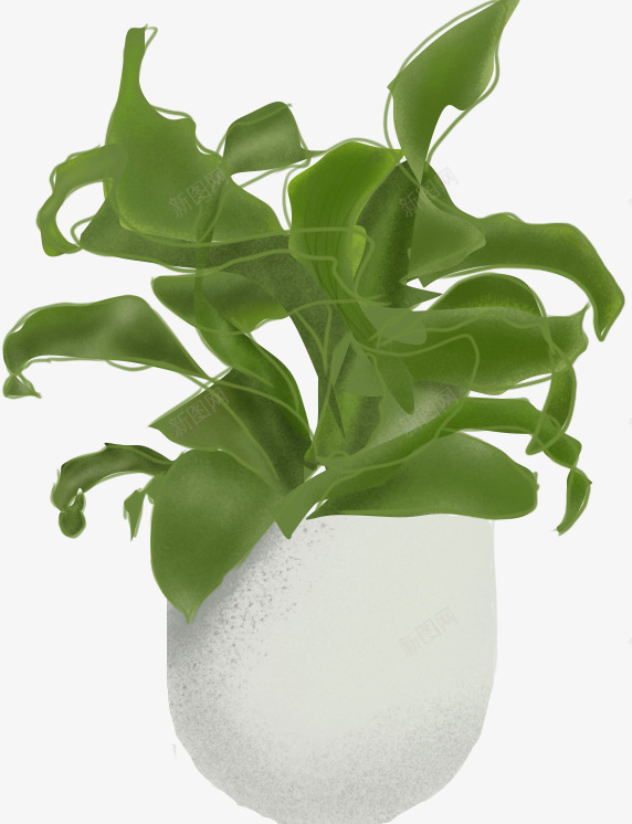 绿植盆栽手绘插画png免抠素材_88icon https://88icon.com 绿植 盆栽 手绘 插画