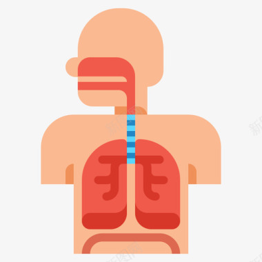树根解剖呼吸系统解剖学13扁平图标