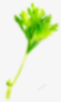 野菜生活100爱野菜生活100野菜定番野菜生活10素材