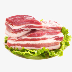 猪肉排骨嵴骨后腿肉五花肉素材