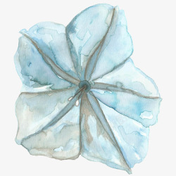 植物婚礼卡片冷色水彩花卉月光花环请柬包装装饰设计素材