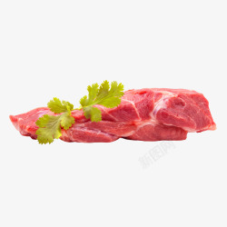 肉牛肉素材