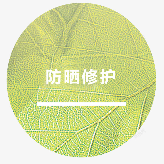 防晒修护png免抠素材_88icon https://88icon.com 防晒 修护