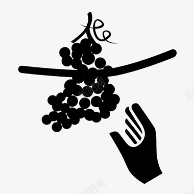 葡萄采摘园采摘葡萄酒收获酿酒图标