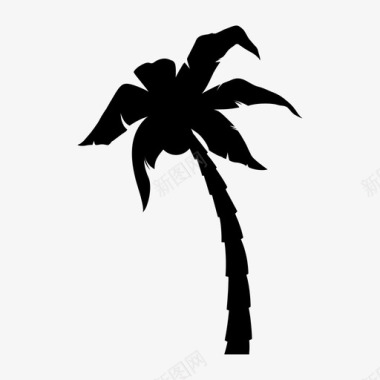 棕榈树乔木植物和树木图标