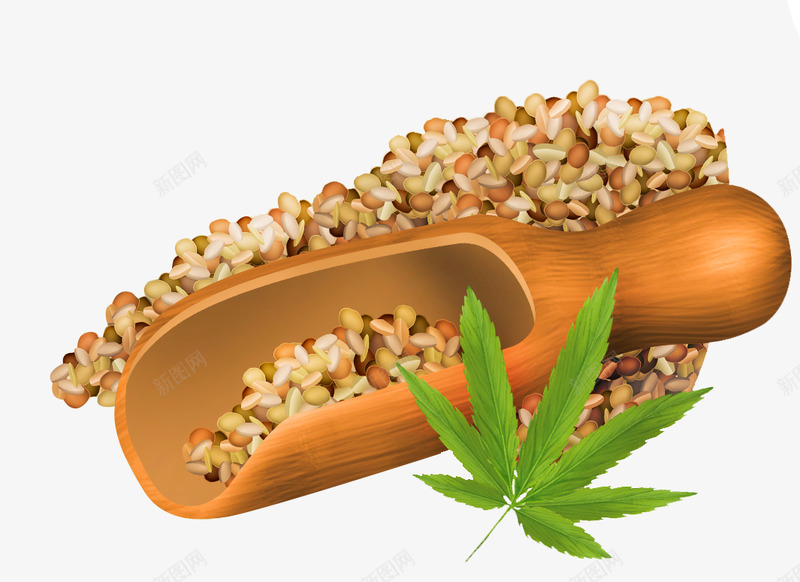 火麻仁png免抠素材_88icon https://88icon.com 麻仁