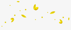 满天飘落的黄色花瓣素材