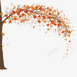 秋天枫树设计1500x1500素材